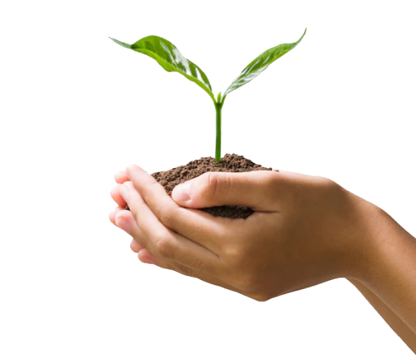 plant-bg