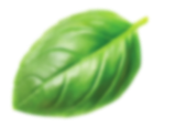 bg-right-leaf