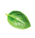 bg-semi-leaf